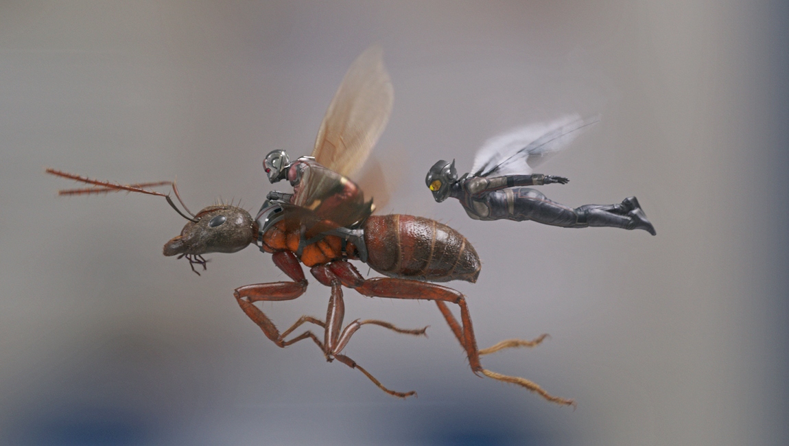 Marvel Studios ANT-MAN AND THE WASP..L to R: Ant-Man/Scott Lang (Paul Rudd) and The Wasp/Hope van Dyne (Evangeline Lilly)..Photo: Film Frame..©Marvel Studios 2018