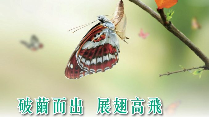 ctv15