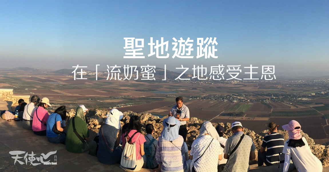 IMG_0590_meitu_7