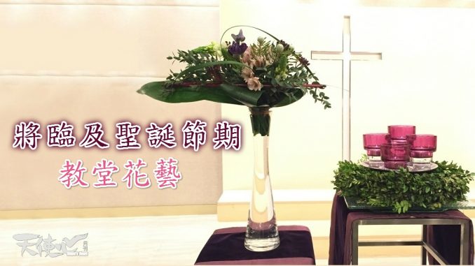 a1_meitu_6
