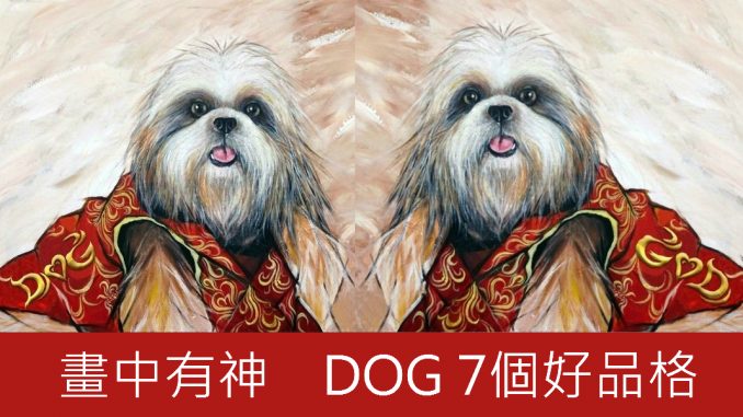 dog_meitu_8_meitu_9