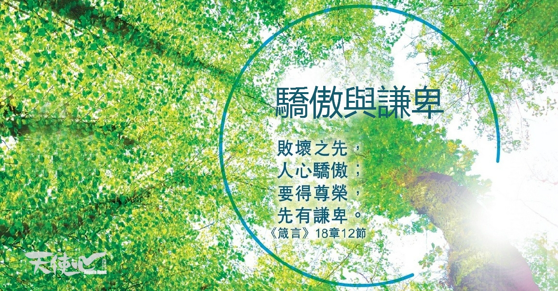 bible_meitu_1