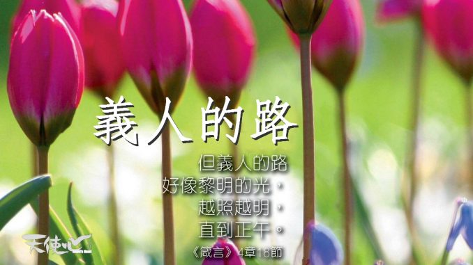 bible_meitu_4
