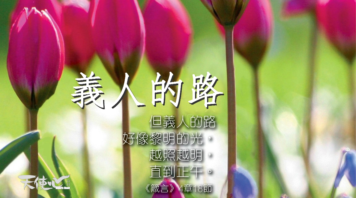 bible_meitu_4