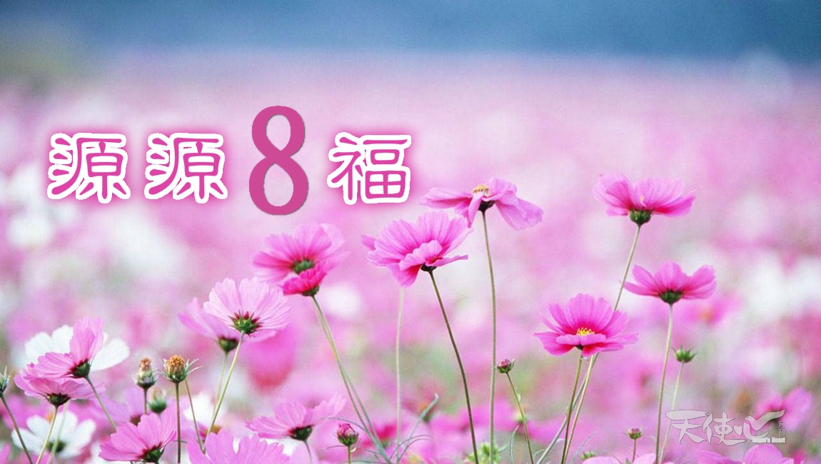CsV8YYeXYAA_Jfp_meitu_7