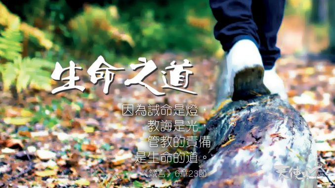 bible_meitu_1